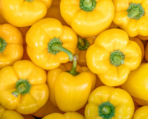 vivid yellow bell peppers top view closeup, natural colorful pattern background