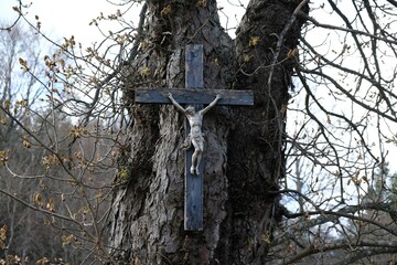 Close up of old cross hanging on tree