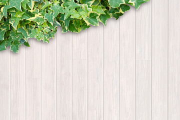 Background material for ivy and wood grain walls.