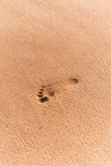 Fototapeta na wymiar Odcisk stopy na plaży, naturalne tło brązowa tekstura piasku.