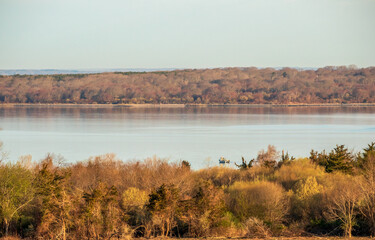 Landscape with bare trees near Newport, Rhode Island on an early spring morning