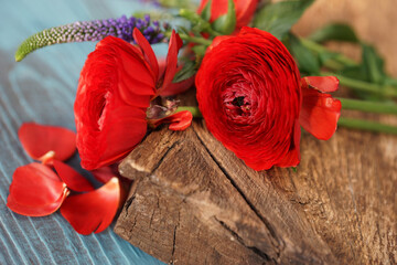 Fototapeta na wymiar Red ranunculus on wooden board