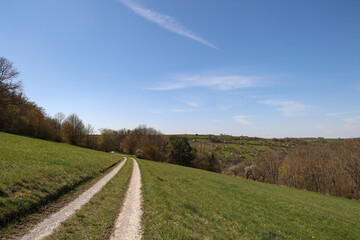 Fototapeta premium Spring landscape with sown fields and blue sky