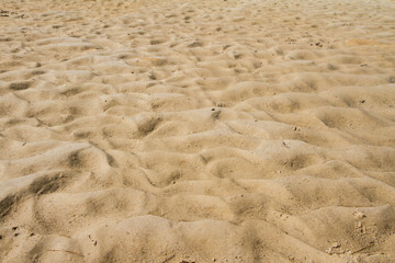 Ripples left in sand on river bank