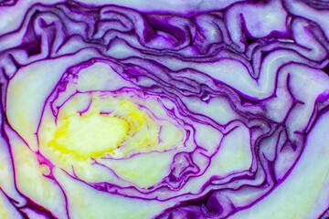 Obraz premium Purple or red cabbage texture inside, Natural eco background. Beautiful wallpaper. Macro photo.