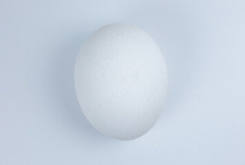 White egg on the white background. Copy space. Minimalism, original and creative photo. Beautiful wallpaper. Easter holidays.