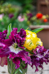 Bunch of Parrot Style Tulips