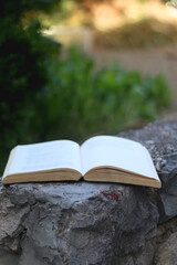 Open book in a garden. Selective focus. 