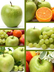 fruit collage