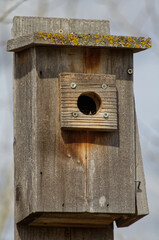 Close Up of a Birdhouse