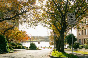alley in autumn looking at the see