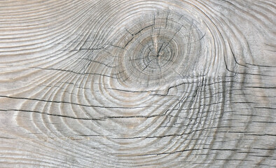 Natural texture of grey old pine board with big knot