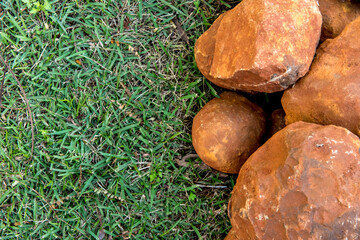 Grass and stones background. Top view.