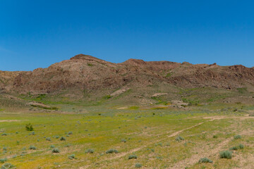 Endless steppe in the valley at the foot of the mountains, bathed in bright sunlight. Amazing view on  green mountains. mountain, covered with green trees, under a blue sky with clouds.