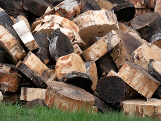 Pile of sawn pine firewood on green grass, natural wood texture