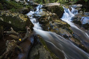 Fototapeta premium Long exposure, blur motion capture of rushing water around fall leaf covered rocks in the forest.