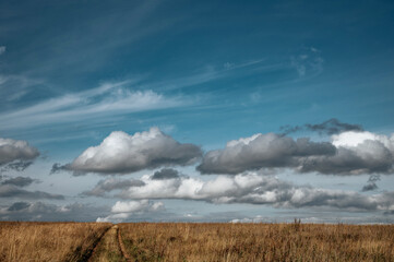 Road to horizon in field with blue sky and clouds on background