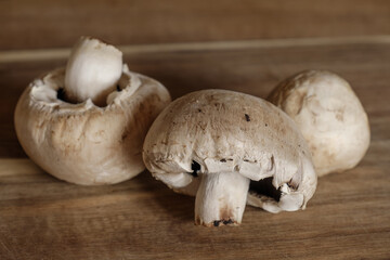 Drei Pilze: Weiße Champignons (Zuchtchampignon / Kulturchampignon) auf Holz / Brettchen