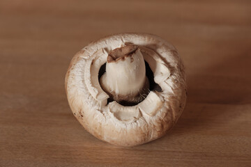 Makro / Detail:  Pilz / Champignon (Zuchtchampignon / Kulturchampignon) auf Holz / Brettchen