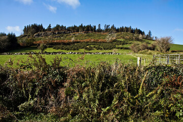 Fototapeta na wymiar Carriganog Hill in County Kilkenny countryside