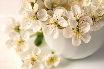 White porcelain cup in it flowers from an apple tree. Close-up.
