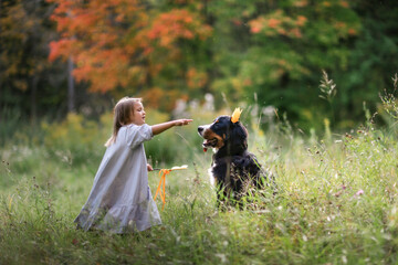 Cute Caucasian girl child and a Bernese Mountain Dog breed in a crown in a park among the grass in summer, a fabulous photo of a girl princess conjuring a dog in a crown, children's fantasy and games