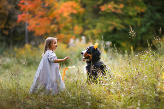 Cute Caucasian girl child and a Bernese Mountain Dog breed in a crown in a park among the grass in summer, a fabulous photo of a girl princess conjuring a dog in a crown, children's fantasy and games