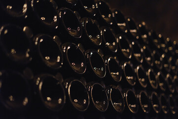 Green bottles of wine or champagne.