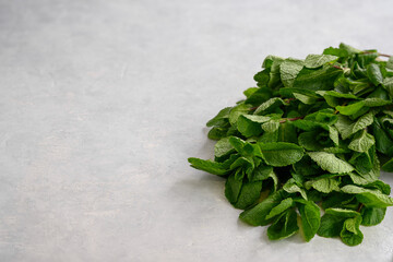 Fresh aromatic mint on a light background