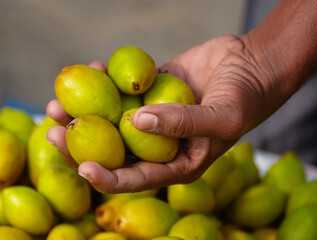 Umari fruit in seller's hand in Bangladesh, closeup