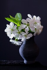 Fototapeta na wymiar Spring flowers, cherry blossoms in the vas on a black background