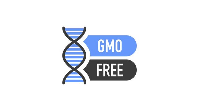 Flat icon with lactose gluten gmo sugar free. Organic signs. Motion graphics.