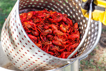 Crawfish boil