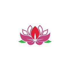 Beauty Lotus flowers logo icon design template