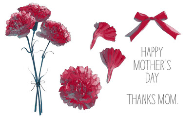 Obraz premium 母の日、カーネーションの花束のイラスト