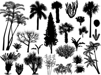 tropical trees silhouettes set isolated on white