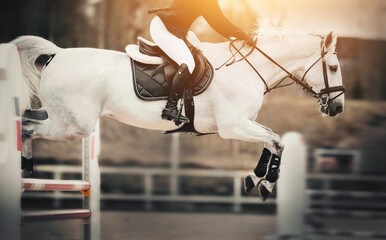 The white horse overcomes an obstacle.Show jumping