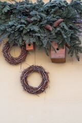 Dried vine wines on a yellow wall