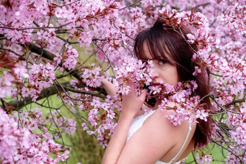 Obraz na płótnie Canvas sensual, seductive, portrait of a sexy, young, brunette woman in white dress in pink flower tree blossoms in april spring awakening, sakura, copy space