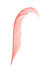 Obraz premium Coral detailed feather of bird. decorative fluffy pink feather of flamingo or goose. Plume icon isolated on white background
