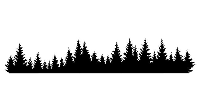 Fir trees silhouettes. Coniferous spruce horizontal background pattern, black evergreen woods  illustration. Beautiful hand drawn panorama of a coniferous forest
