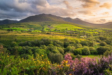 Beautiful sunset with dramatic sky at golden hour over the foothill of Carrauntoohil mountain,...