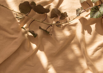 Beige installation - still life for blogger as beige background, modern art. Abstract with weaving ivy. Shadow and light on the folds of the fabric. Copy space, top view, flat lay