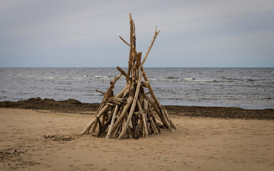 Stacked light trees and branches by the sea, like a wigwam.