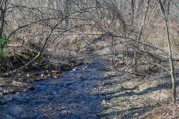 a strem traveling through the wilderness