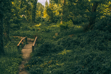 autumn in the park