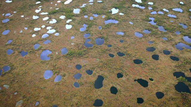 Flying over wild nature with huge swamp at sunny summer day