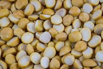 Chickpea (Cicer arietinum) - background with copy space