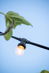 street lamp on the background with leaf