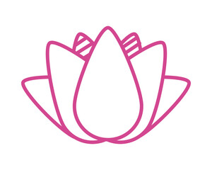 lotus flower symbol